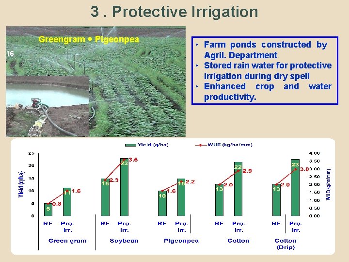 3. Protective Irrigation Greengram + Pigeonpea 16 • Farm ponds constructed by Agril. Department