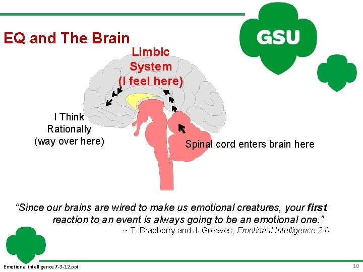 EQ and The Brain Limbic System (I feel here) I Think Rationally (way over