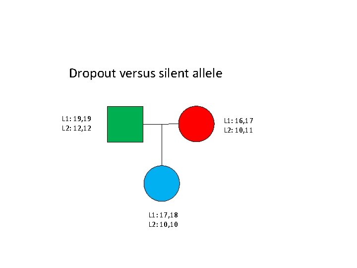 Dropout versus silent allele L 1: 19, 19 L 2: 12, 12 23 L