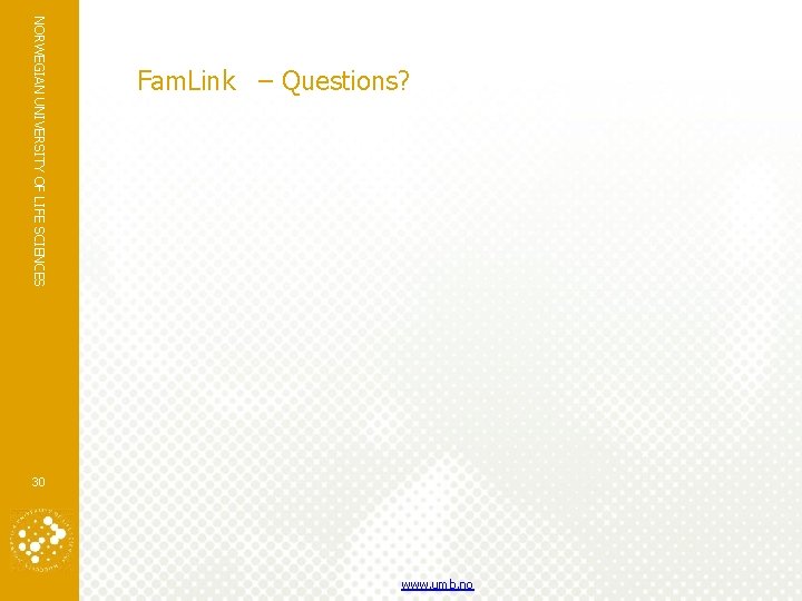 NORWEGIAN UNIVERSITY OF LIFE SCIENCES Fam. Link – Questions? 30 www. umb. no 