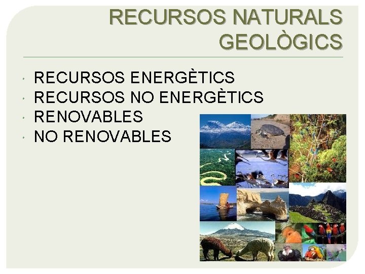 RECURSOS NATURALS GEOLÒGICS RECURSOS ENERGÈTICS RECURSOS NO ENERGÈTICS RENOVABLES NO RENOVABLES 