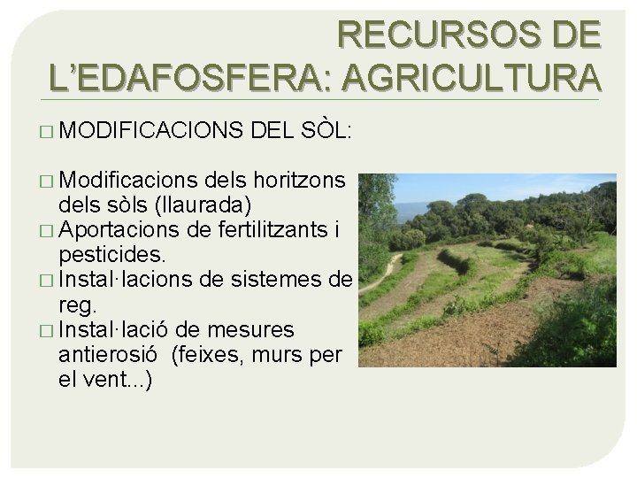 RECURSOS DE L’EDAFOSFERA: AGRICULTURA � MODIFICACIONS � Modificacions DEL SÒL: dels horitzons dels sòls