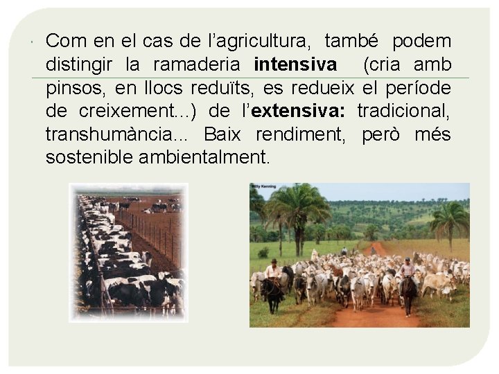 Com en el cas de l’agricultura, també podem distingir la ramaderia intensiva (cria