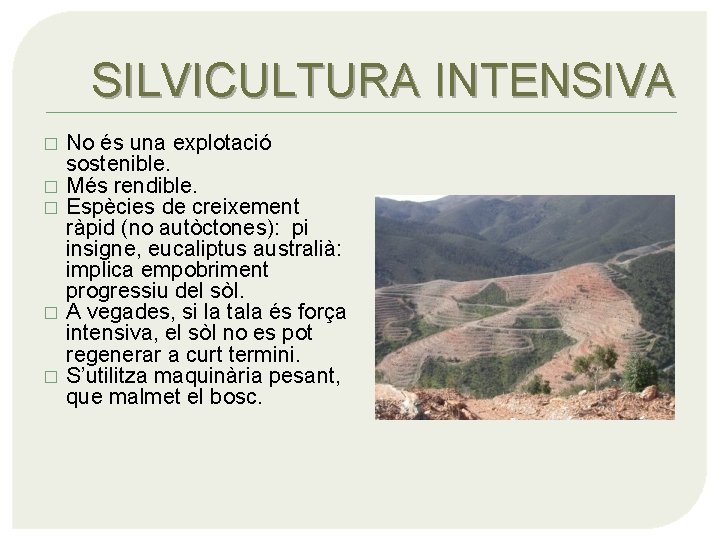 SILVICULTURA INTENSIVA � � � No és una explotació sostenible. Més rendible. Espècies de