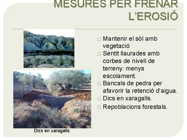 MESURES PER FRENAR L’EROSIÓ Mantenir el sòl amb vegetació � Sentit llaurades amb corbes