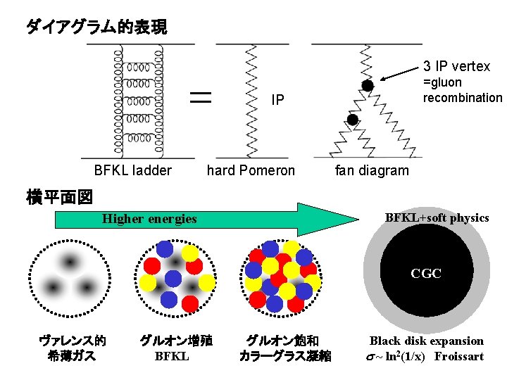 ダイアグラム的表現 3 IP vertex =gluon recombination IP BFKL ladder hard Pomeron fan diagram 横平面図