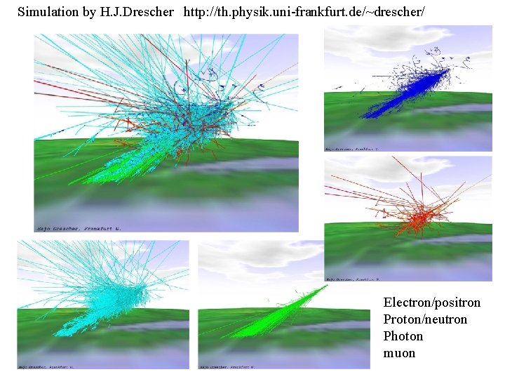 Simulation by H. J. Drescher http: //th. physik. uni-frankfurt. de/~drescher/ Electron/positron Proton/neutron Photon muon