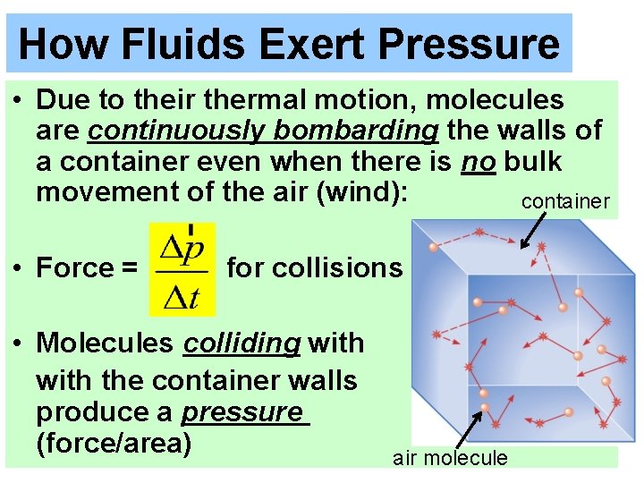 How Fluids Exert Pressure • Due to their thermal motion, molecules are continuously bombarding