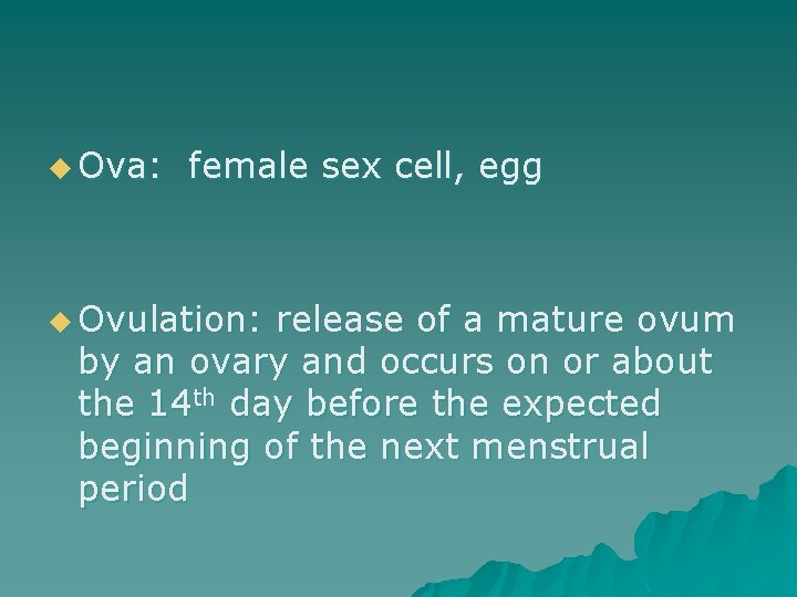 u Ova: female sex cell, egg u Ovulation: release of a mature ovum by