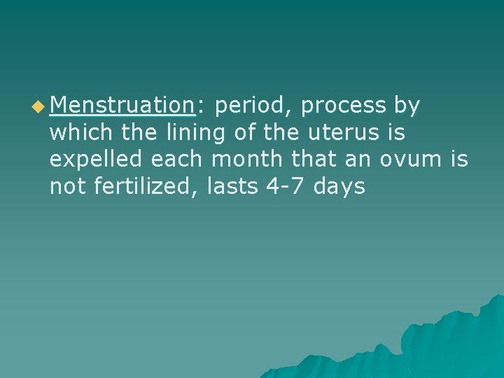 u Menstruation: period, process by which the lining of the uterus is expelled each