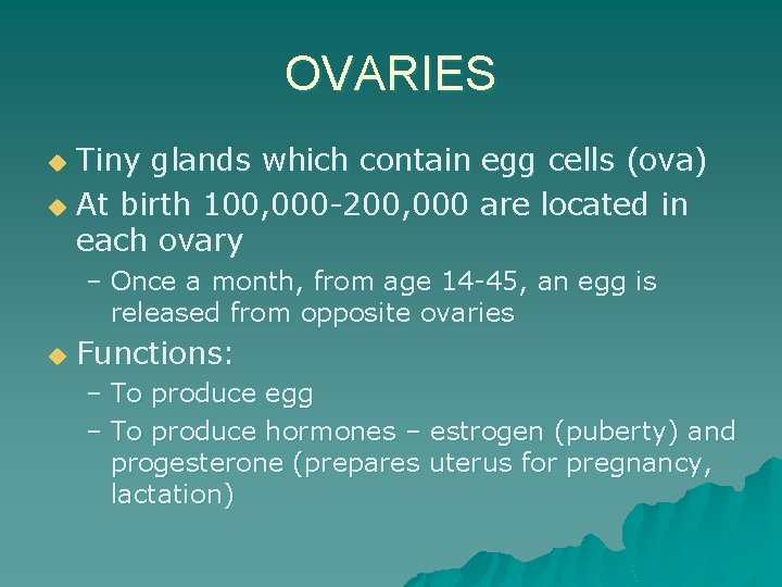OVARIES Tiny glands which contain egg cells (ova) u At birth 100, 000 -200,