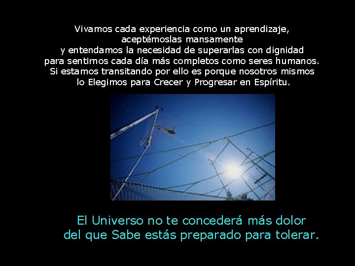 Vivamos cada experiencia como un aprendizaje, aceptémoslas mansamente y entendamos la necesidad de superarlas