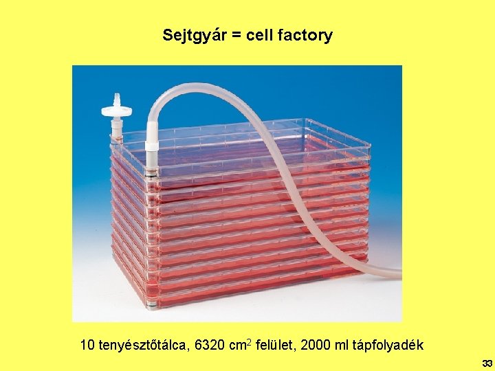 Sejtgyár = cell factory 10 tenyésztőtálca, 6320 cm 2 felület, 2000 ml tápfolyadék 33
