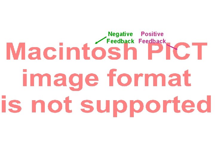 Negative Positive Feedback Negative Positive Feedback