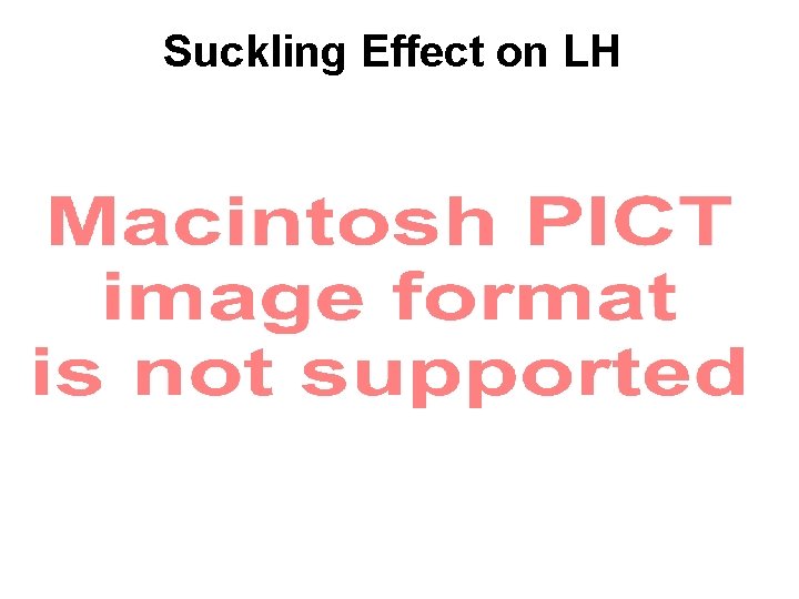 Suckling Effect on LH Suckling Effect on LH