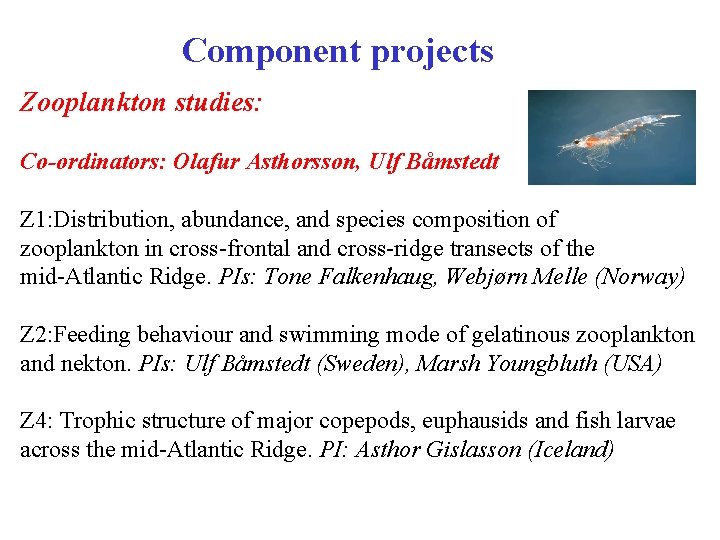 Component projects Zooplankton studies: Co-ordinators: Olafur Asthorsson, Ulf Båmstedt Z 1: Distribution, abundance, and