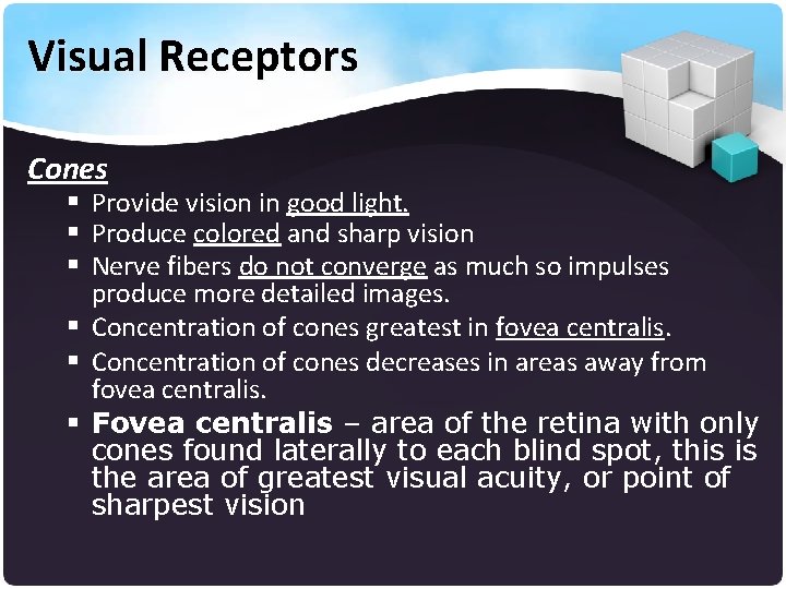 Visual Receptors Cones § Provide vision in good light. § Produce colored and sharp