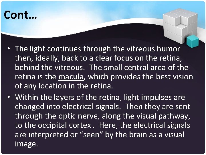 Cont… • The light continues through the vitreous humor then, ideally, back to a