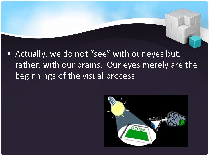  • Actually, we do not “see” with our eyes but, rather, with our