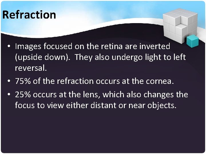 Refraction • Images focused on the retina are inverted (upside down). They also undergo