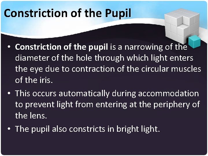 Constriction of the Pupil • Constriction of the pupil is a narrowing of the