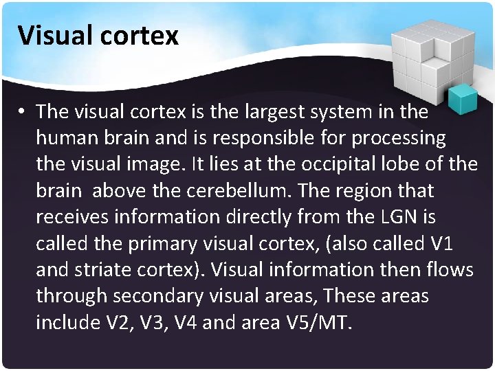 Visual cortex • The visual cortex is the largest system in the human brain