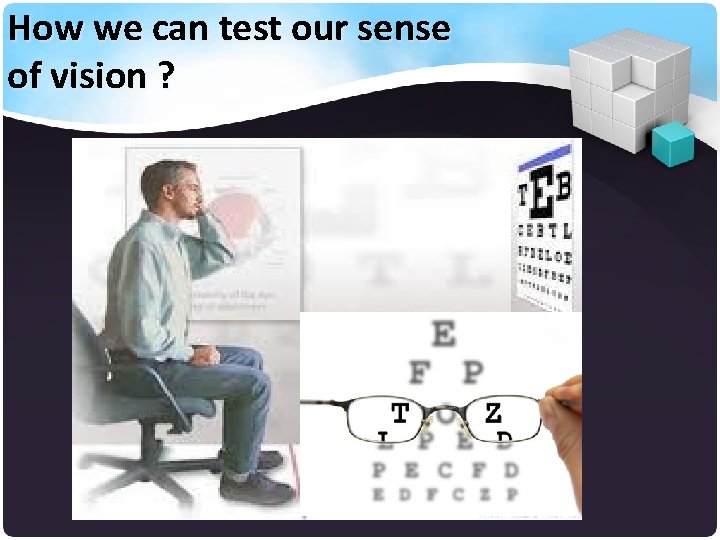 How we can test our sense of vision ? 