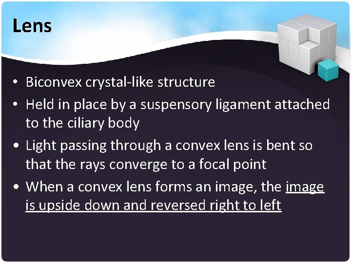 Lens • Biconvex crystal-like structure • Held in place by a suspensory ligament attached