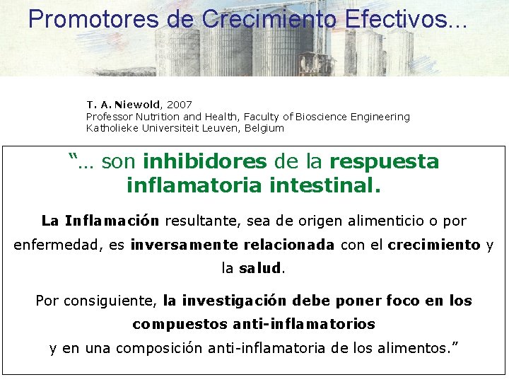 Promotores de Crecimiento Efectivos. . . T. A. Niewold, 2007 Professor Nutrition and Health,