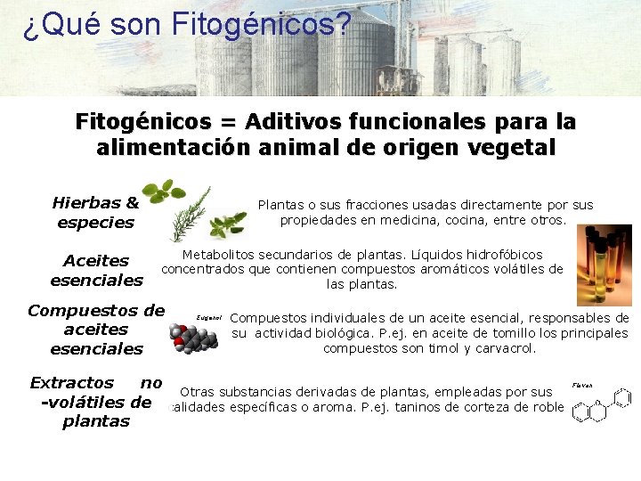 ¿Qué son Fitogénicos? Fitogénicos = Aditivos funcionales para la alimentación animal de origen vegetal