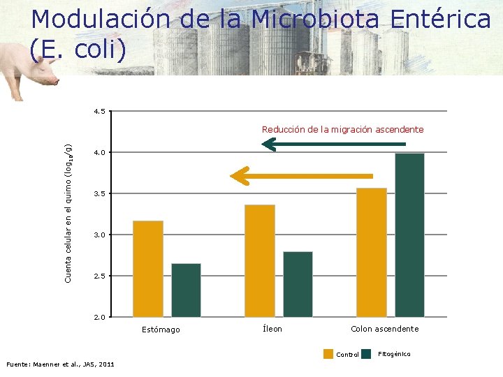 Modulación de la Microbiota Entérica (E. coli) 4. 5 Cuenta celular en el quimo