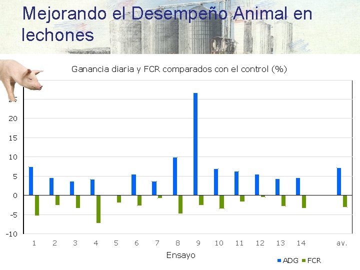 Mejorando el Desempeño Animal en lechones Ganancia diaria y FCR comparados con el control