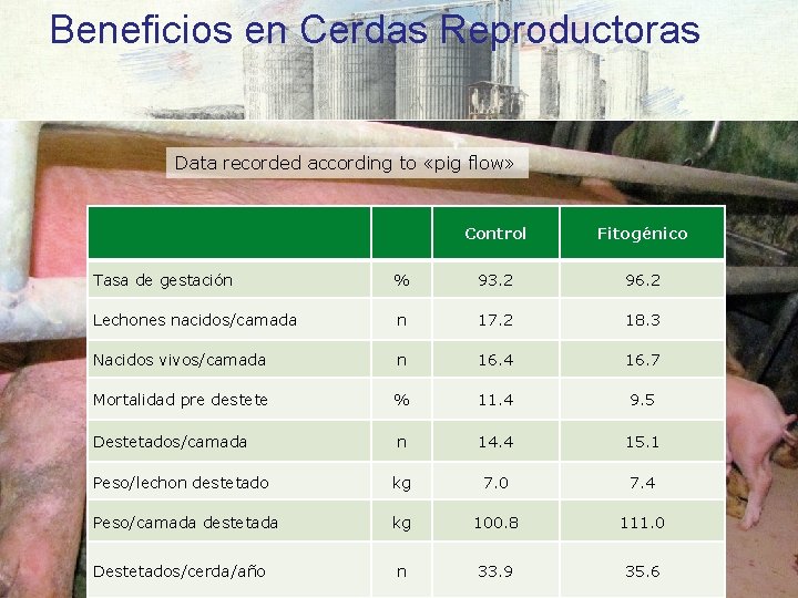 Beneficios en Cerdas Reproductoras Data recorded according to «pig flow» Control Fitogénico Tasa de