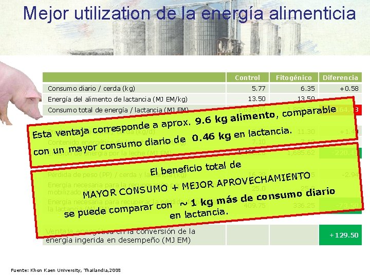 Mejor utilization de la energía alimenticia Control Consumo diario / cerda (kg) Energía del