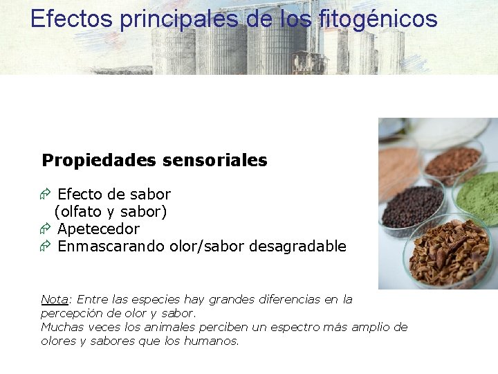 Efectos principales de los fitogénicos Propiedades sensoriales Æ Efecto de sabor (olfato y sabor)