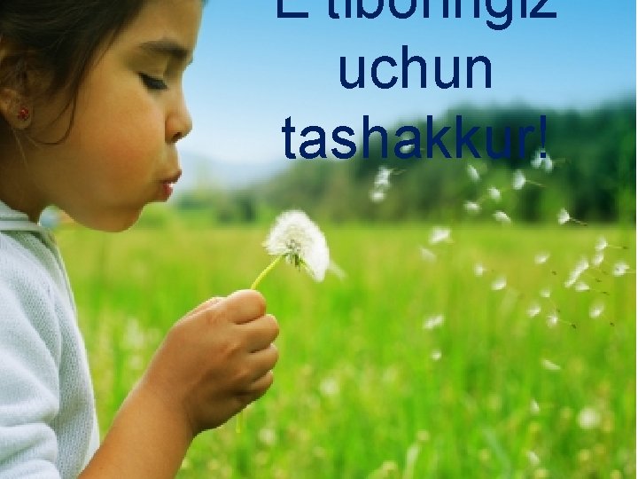 E’tiboringiz uchun tashakkur! 