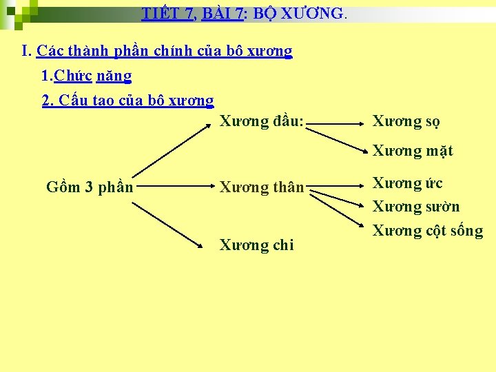 TIẾT 7, BÀI 7: BỘ XƯƠNG. I. Các thành phần chính của bộ xương