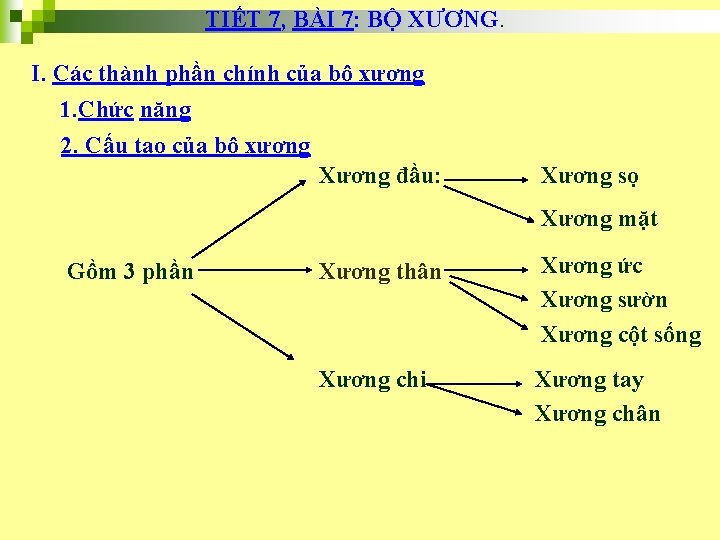 TIẾT 7, BÀI 7: BỘ XƯƠNG. I. Các thành phần chính của bộ xương