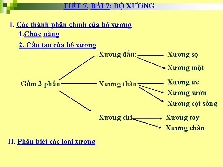 TIẾT 7, BÀI 7: BỘ XƯƠNG. I. Các thành phần chính của bộ xương