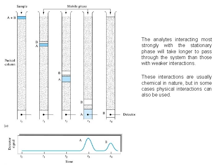 The analytes interacting most strongly with the stationary phase will take longer to pass