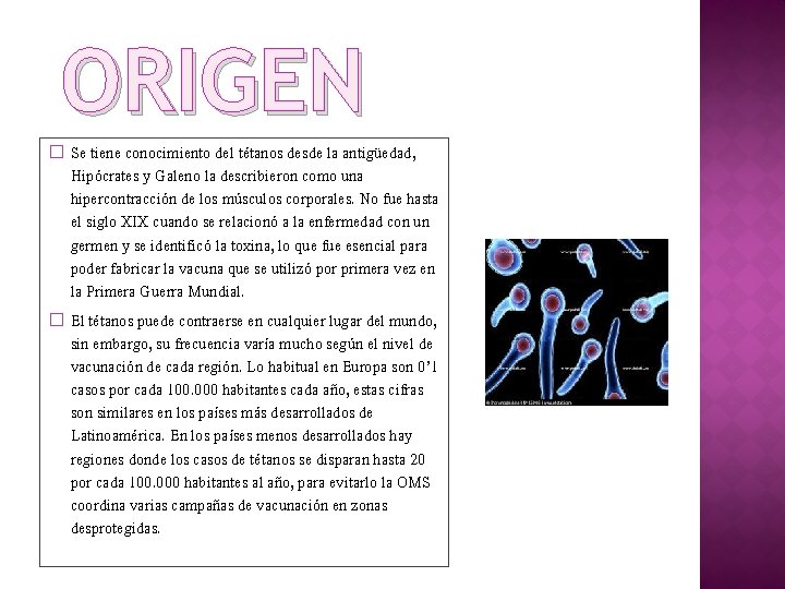 ORIGEN Se tiene conocimiento del tétanos desde la antigüedad, Hipócrates y Galeno la describieron