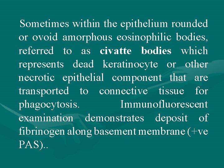 Sometimes within the epithelium rounded or ovoid amorphous eosinophilic bodies, referred to as civatte