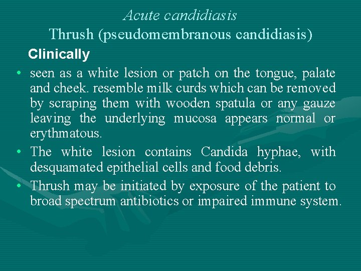 Acute candidiasis Thrush (pseudomembranous candidiasis) • • • Clinically seen as a white lesion