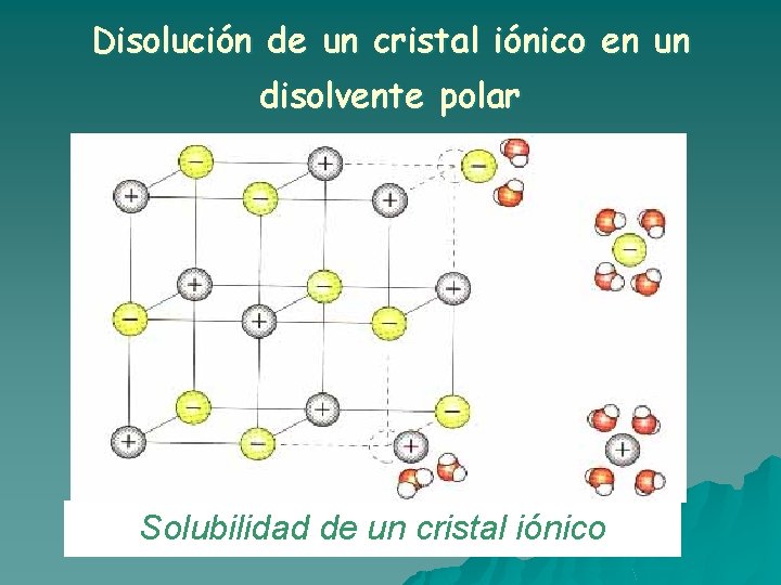 Disolución de un cristal iónico en un disolvente polar Solubilidad de un cristal iónico Disolución de un cristal iónico en un disolvente polar Solubilidad de un cristal iónico