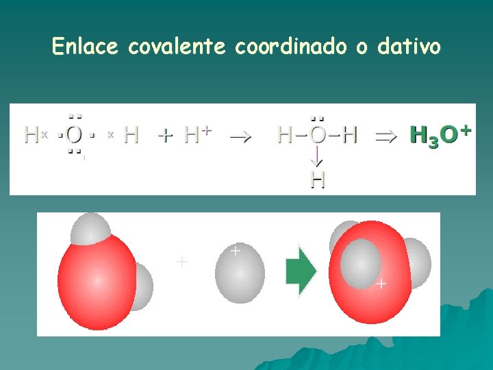 Enlace covalente coordinado o dativo + + + Enlace covalente coordinado o dativo + + +