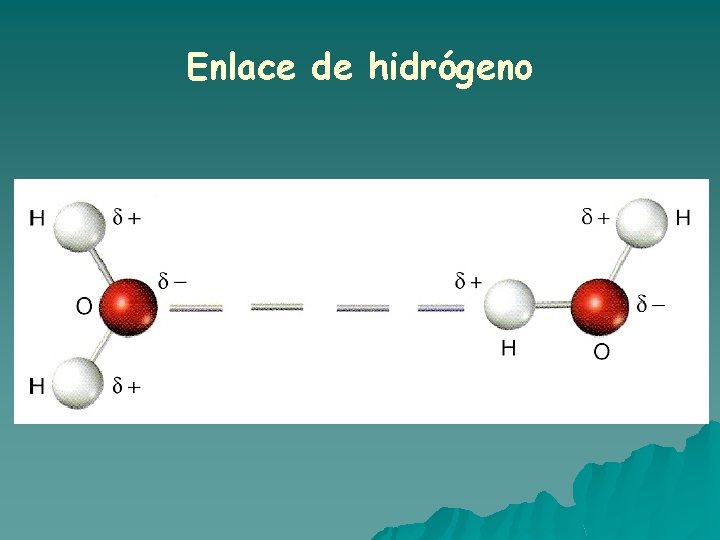 Enlace de hidrógeno Enlace de hidrógeno