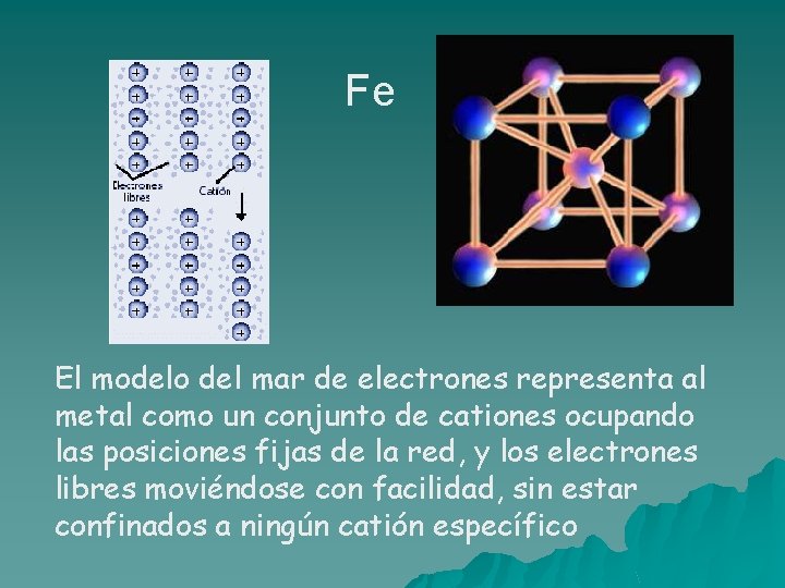 Fe El modelo del mar de electrones representa al metal como un conjunto de Fe El modelo del mar de electrones representa al metal como un conjunto de