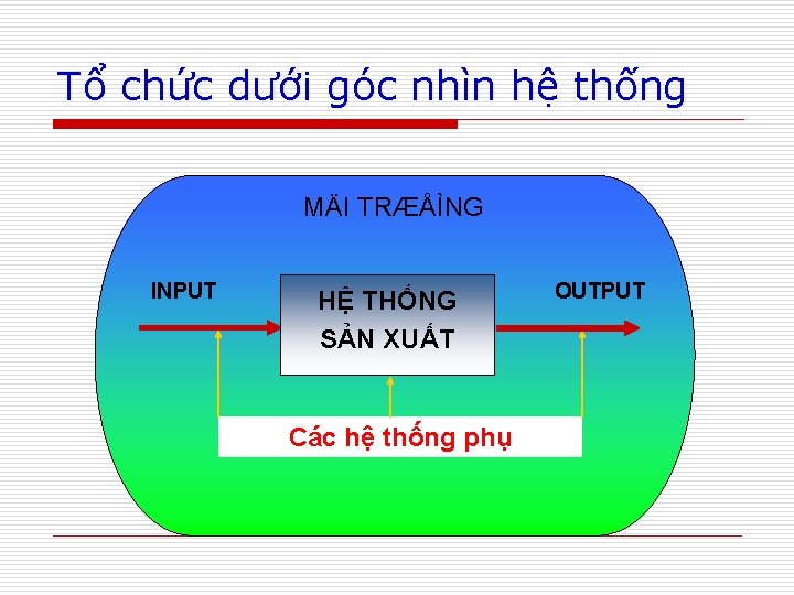 Tổ chức dưới góc nhìn hệ thống MÄI TRÆÅÌNG INPUT HỆ THỐNG SẢN XUẤT