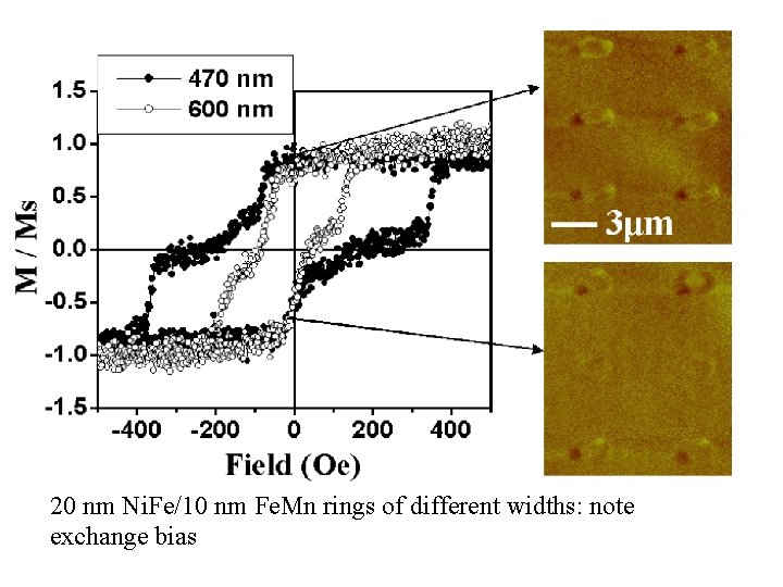 20 nm Ni. Fe/10 nm Fe. Mn rings of different widths: note exchange bias