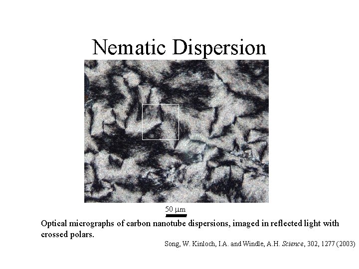 Nematic Dispersion 50 m Optical micrographs of carbon nanotube dispersions, imaged in reflected light